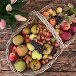 Skovly - Havudsigt Ved Lundeborg Bed & Breakfast
