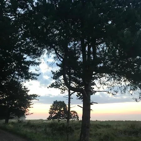 Skovly - Havudsigt Ved Lundeborg *