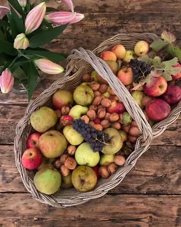 Skovly - Havudsigt Ved Lundeborg فندق مبيت وإفطار