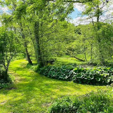Skovly - Havudsigt Ved Lundeborg Bed & Breakfast *
