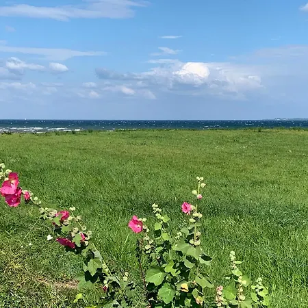 Skovly - Havudsigt Ved Lundeborg Bed & Breakfast *